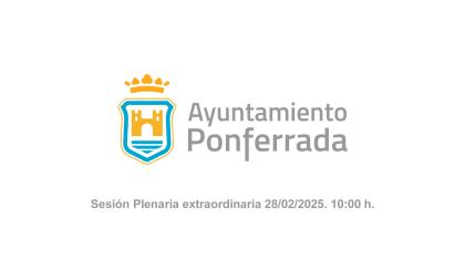 Sesión plenaria 28/02/2025